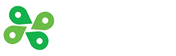 wapking technologies